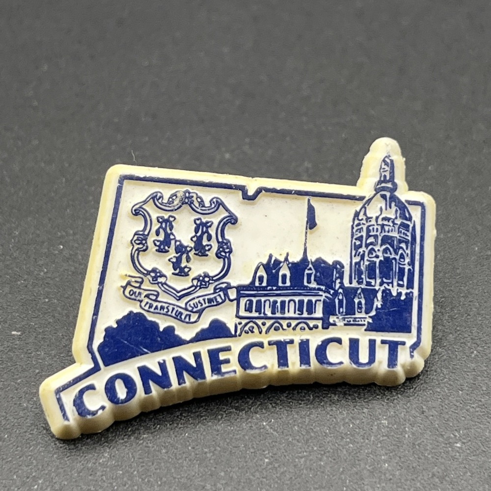 Connecticut State Crest Town Buildings Plastic Lapel Hat Pin